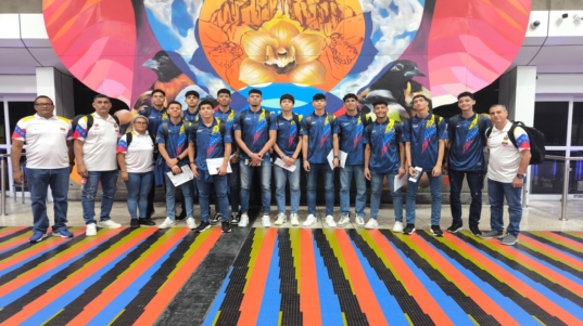 Voleibol (4)