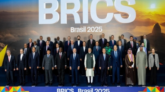 brics (3)