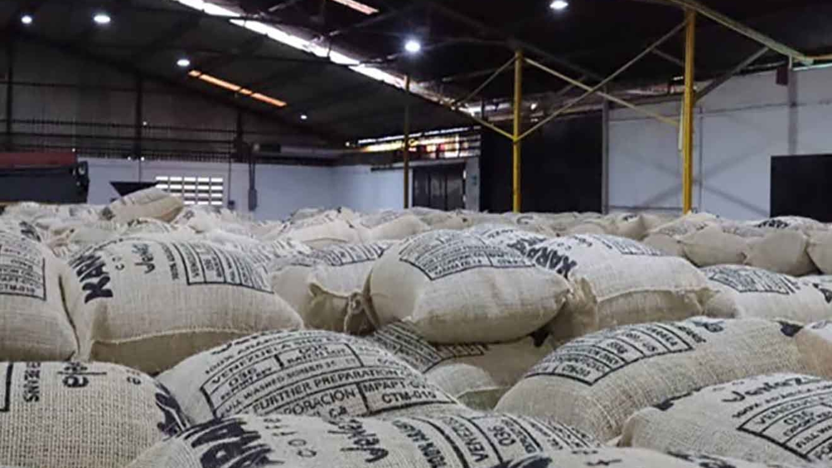 cafe verde-exportado-a-eeuu-