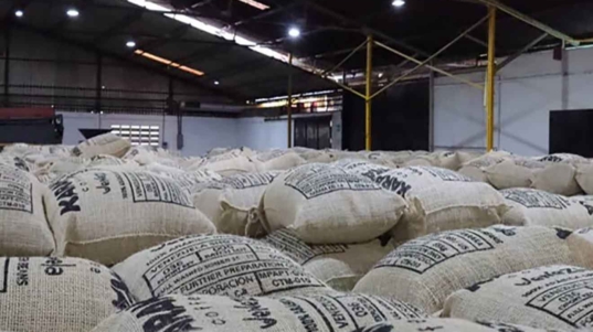 cafe verde-exportado-a-eeuu-