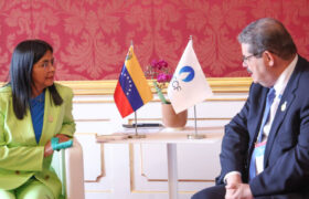 Venezuela revisa alianzas energéticas con el Foro de Países Exportadores de Gas en Viena