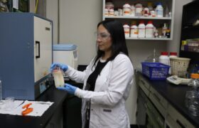 Biólogos del IDEA avanzan en la producción de anticuerpos para el envenenamiento escorpiónico