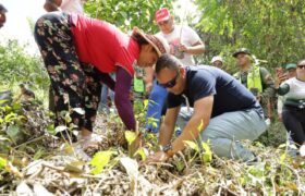 Plantan 3.500 árboles en Trujillo durante jornada del Plan Nacional de Reforestación