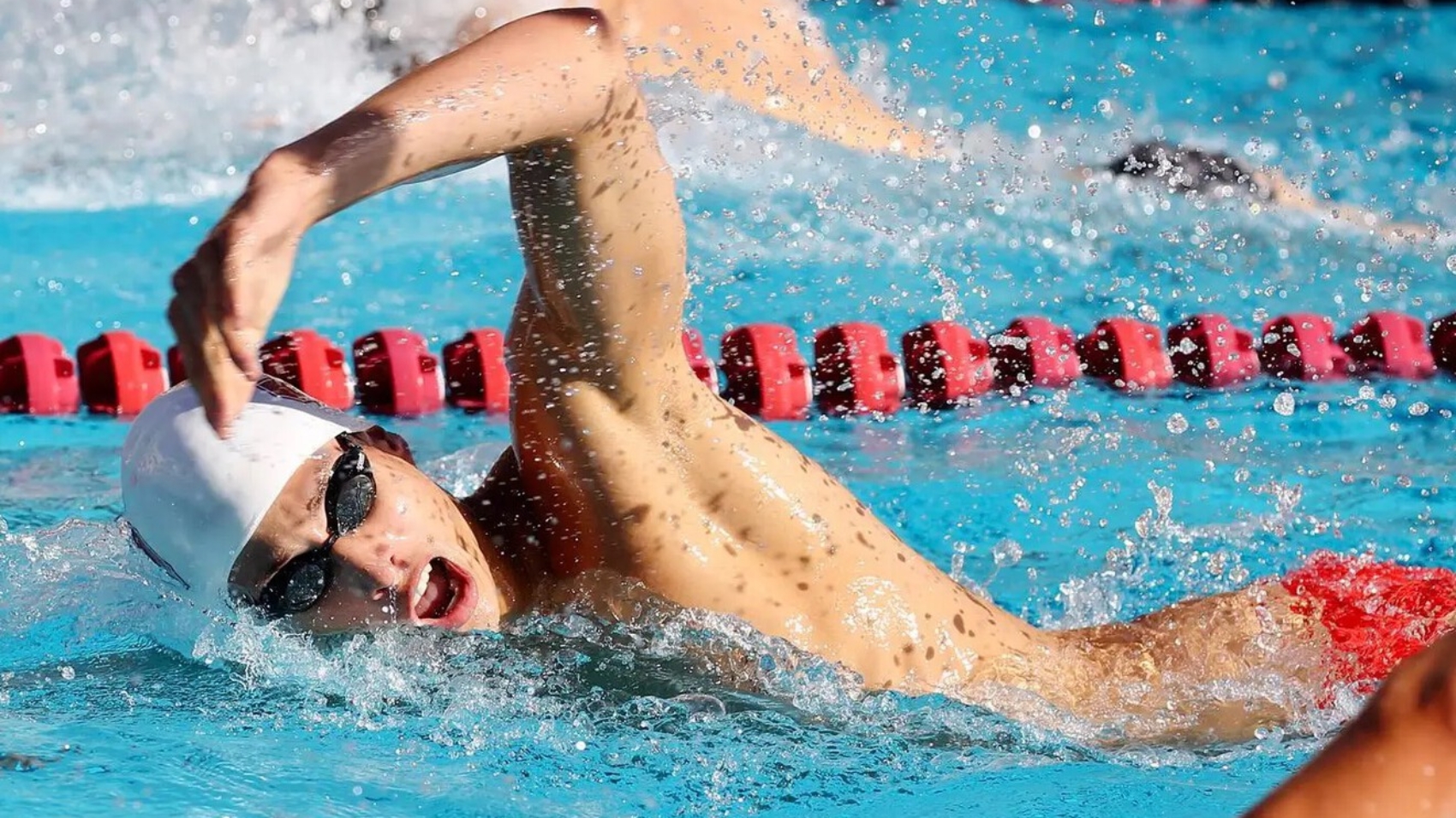 result_Natación