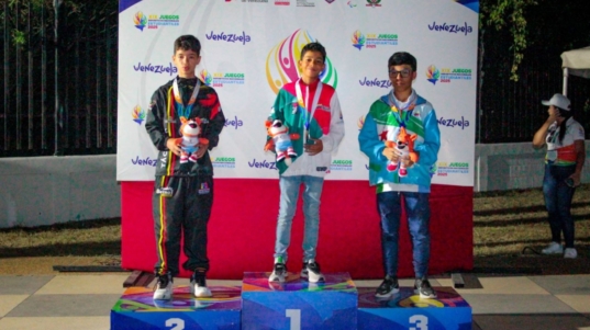 Ajedrez (4)