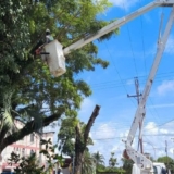 Apure (6)