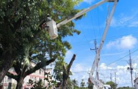 Mantenimiento a circuitos eléctricos optimiza el servicio a más de 30 mil usuarios apureños