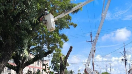 Apure (6)