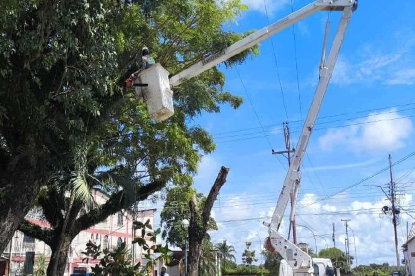 Apure (6)