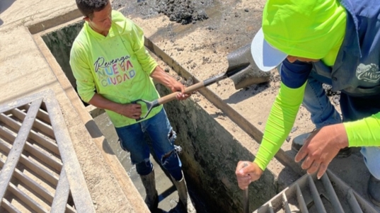 Aragua (17)