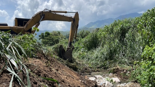 Aragua (20)