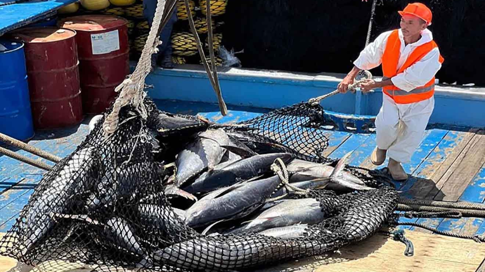 Arriba-a-Venezuela-900-toneladas-de-atun-del-Pacifico-para-fortalecer-la-economia