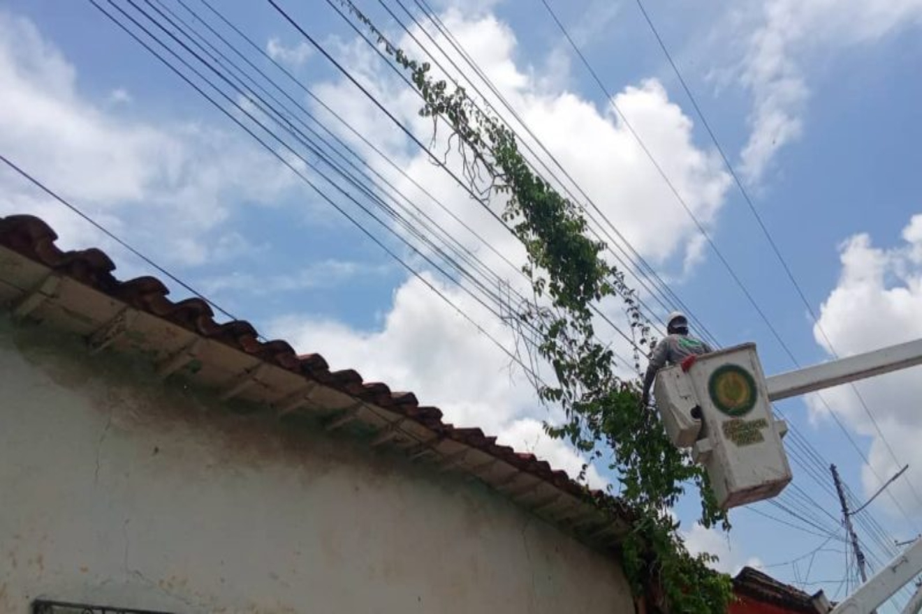 Corpoelec (4)