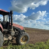 Guárico (11)