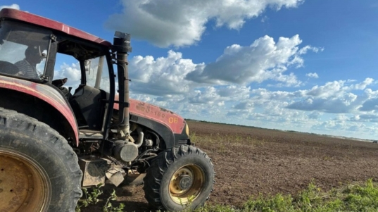 Guárico (11)
