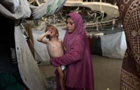 La ONU declara oficialmente hambruna total en la Franja de Gaza
