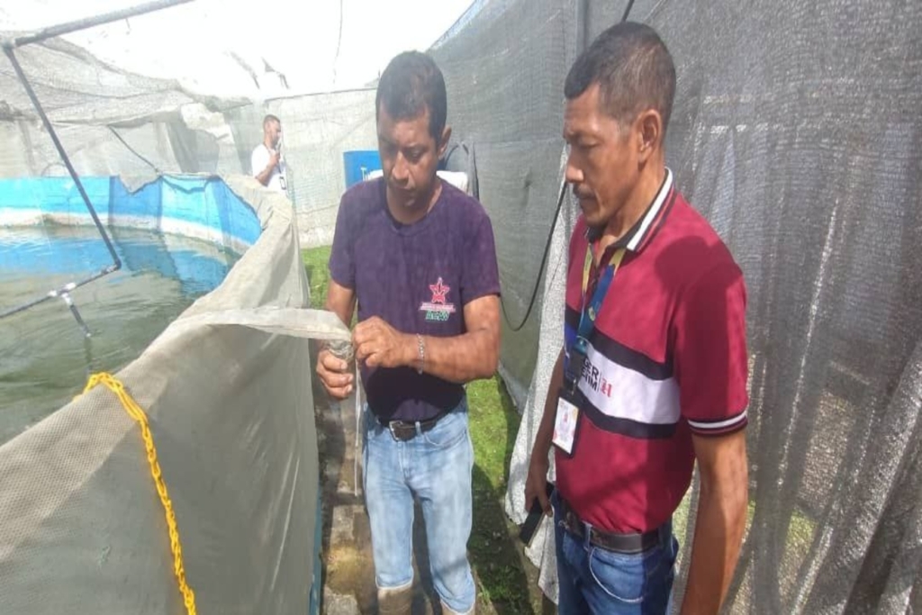 Investigadores (2)