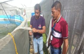 Mincyt imparte conocimientos a investigadores sobre reproducción inducida de peces reófilicos