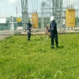 La Guaira (7)