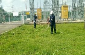 CORPOELEC realiza trabajos de control de vegetación para optimizar el sistema eléctrico en La Guaira