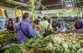 Venezuela disminuye de manera significativa índice de subalimentación