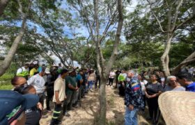 Masiva jornada de reforestación para recuperar espacios degradados en Venezuela