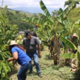Reforestación (1)