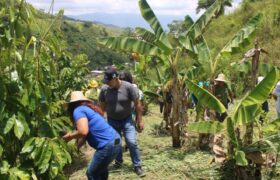 Reforestación nacional: En un solo día se plantaron 74 mil 660 árboles en áreas protegidas o degradadas