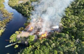 FANB destruye más de 10 campamentos TANCOL en la frontera occidental con Colombia