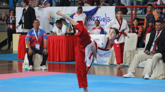 Taekwondo
