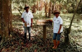 Turoperadores de China entusiasmados con la región de Barlovento y la cultura del cacao