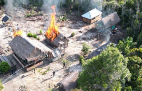 FANB frustra cinco intentos de instalación de campamentos de narcotráfico en la frontera