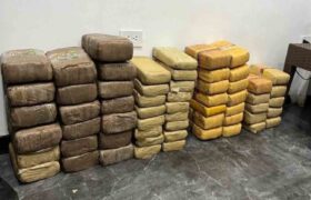 Cuerpos de seguridad incautaron 60 panelas de marihuana en Bolívar