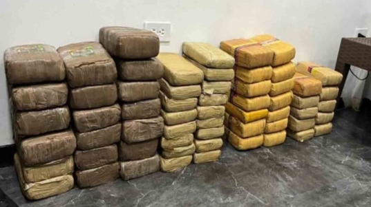 panelas de marihuana