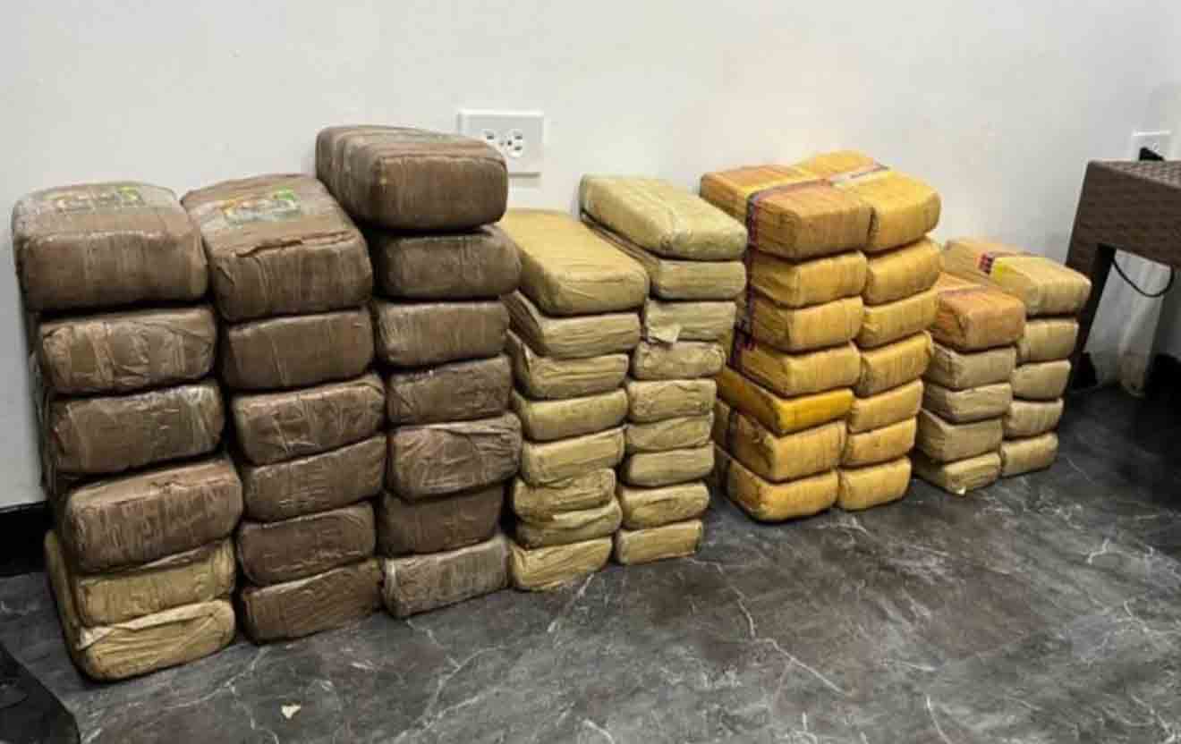 panelas de marihuana