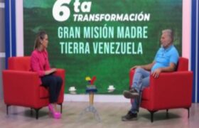 Comunas del país cuentan con condiciones favorables para viveros comunitarios