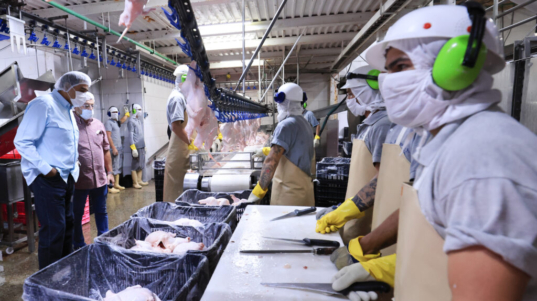 21_ZC__3998_P-1024x683