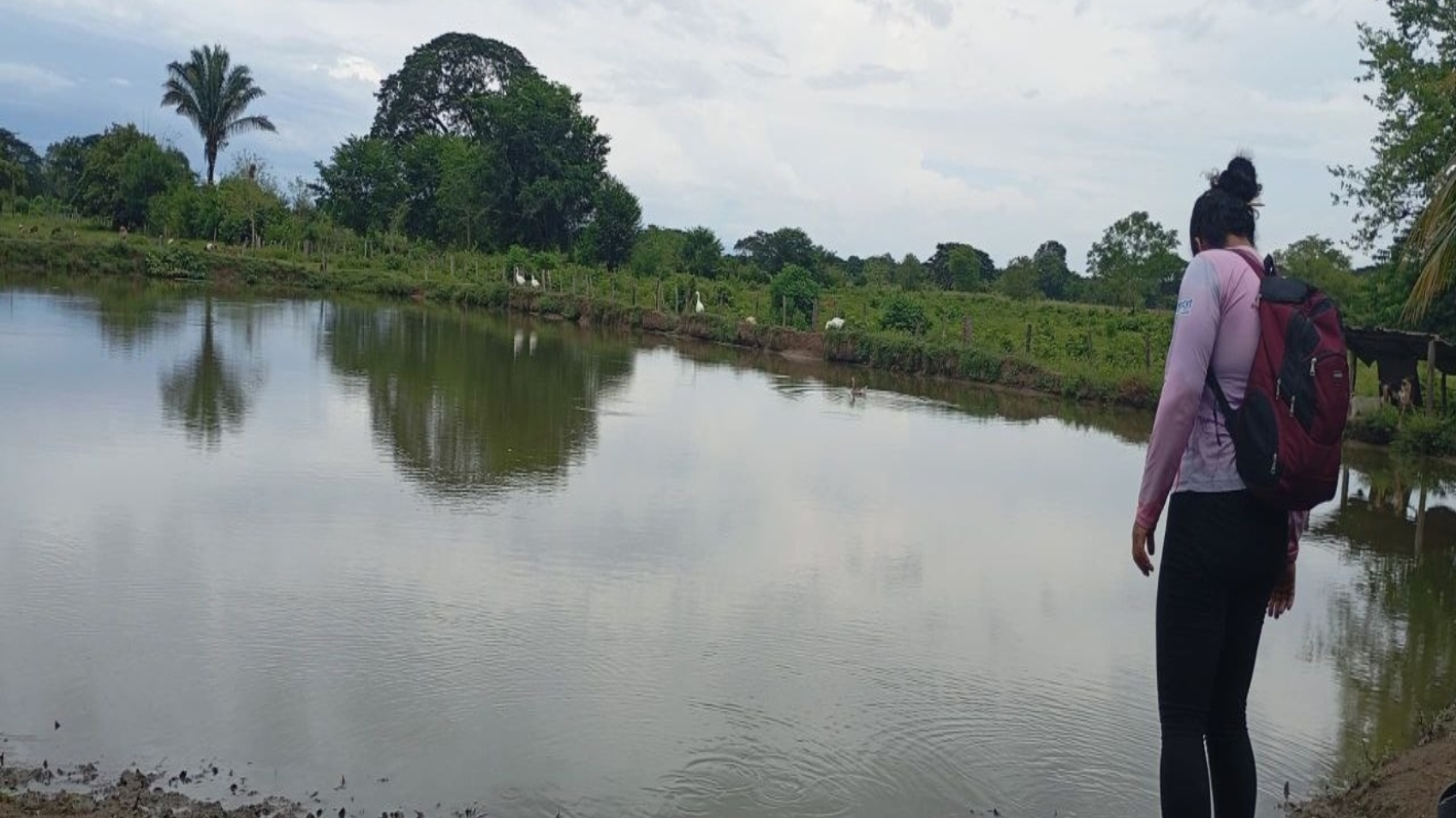 Barinas (12)