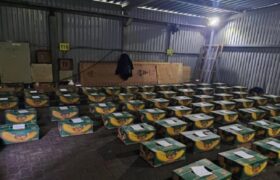 Rusia incauta un cargamento de 1,5 toneladas de cocaína procedente de Ecuador