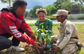 Jornada de reforestación sembró más de dos mil árboles en Campo de Carabobo