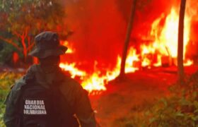 Operativo militar desmantela campamento minero ilegal en Atabapo