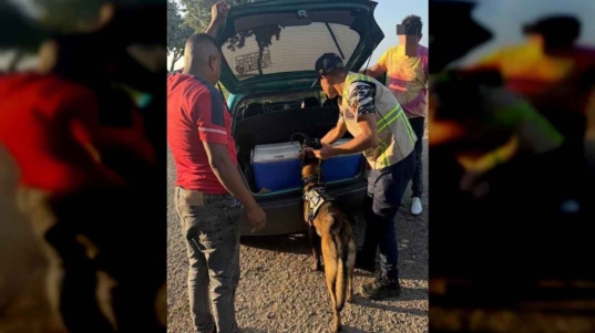 PNB aprehendió a dos sujetos por posesión de marihuana en Sucre