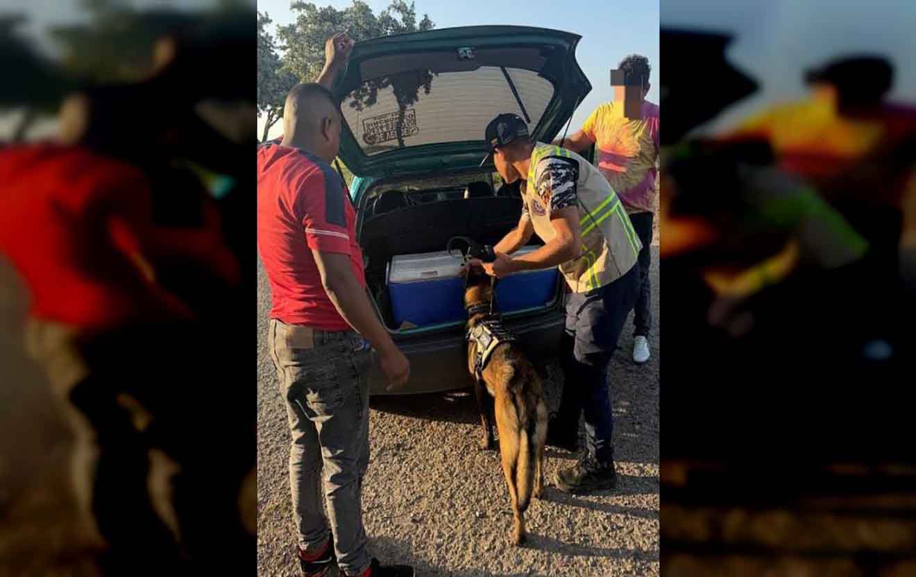 PNB aprehendió a dos sujetos por posesión de marihuana en Sucre