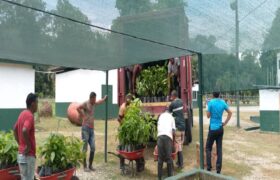 «Sembrar para la Vida»: Cenidic entrega 3.000 plantas para impulsar la reforestación