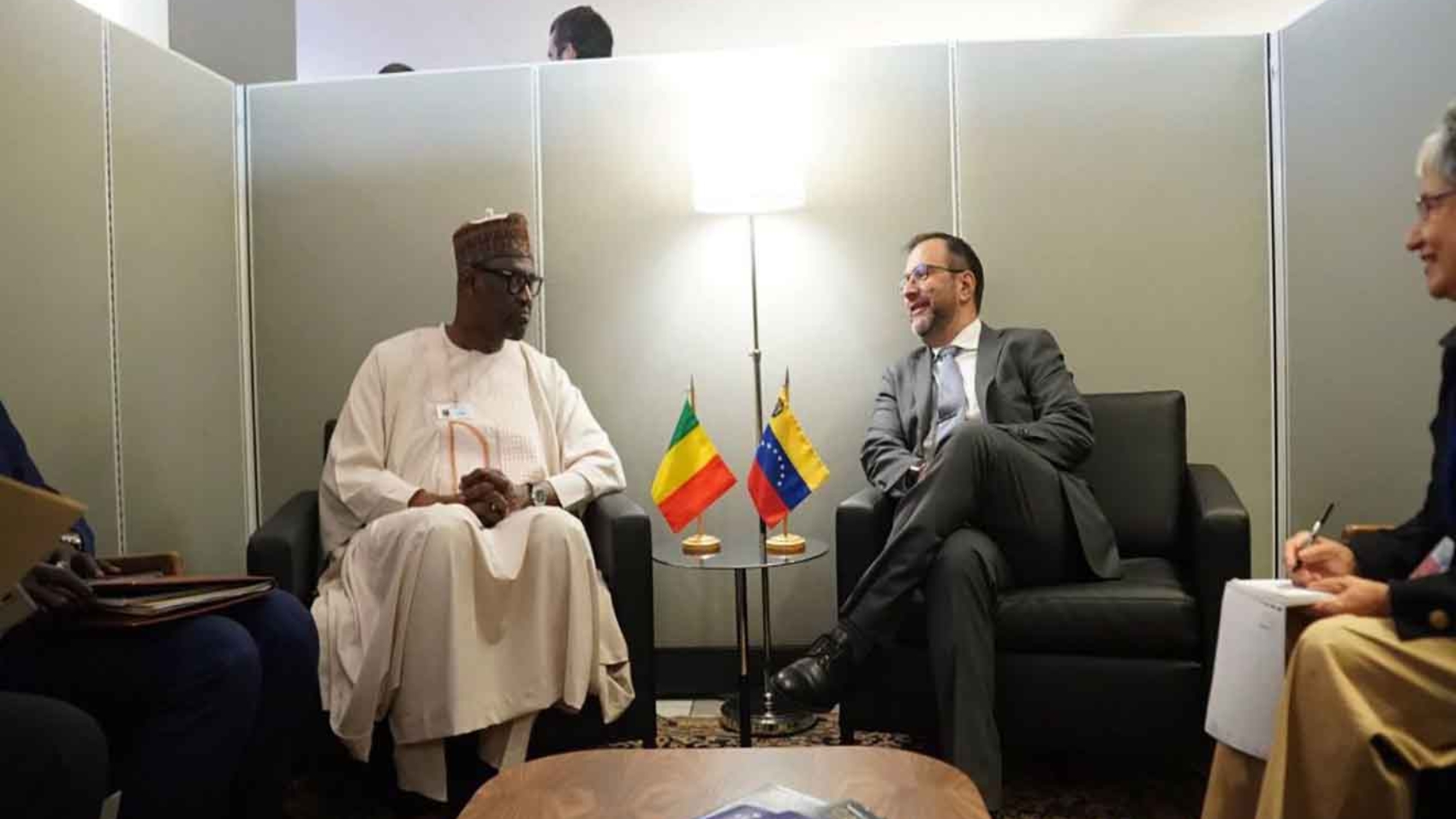 Venezuela y Mali reafirman alianza y posiciones comunes en Asamblea General de la ONU