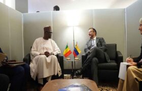 Venezuela y Mali refuerzan cooperación en la ONU con posiciones comunes