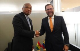 Venezuela y Ghana estrechan lazos de cooperación estratégica en la ONU