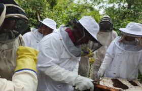 ACAV invita al taller sobre apicultura en Barinas