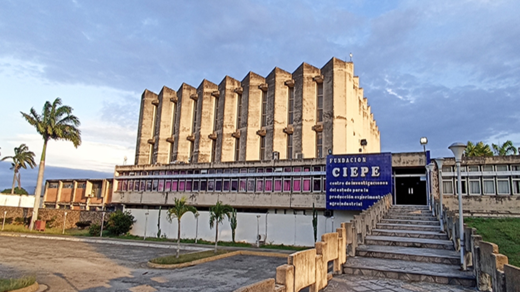 ciepe