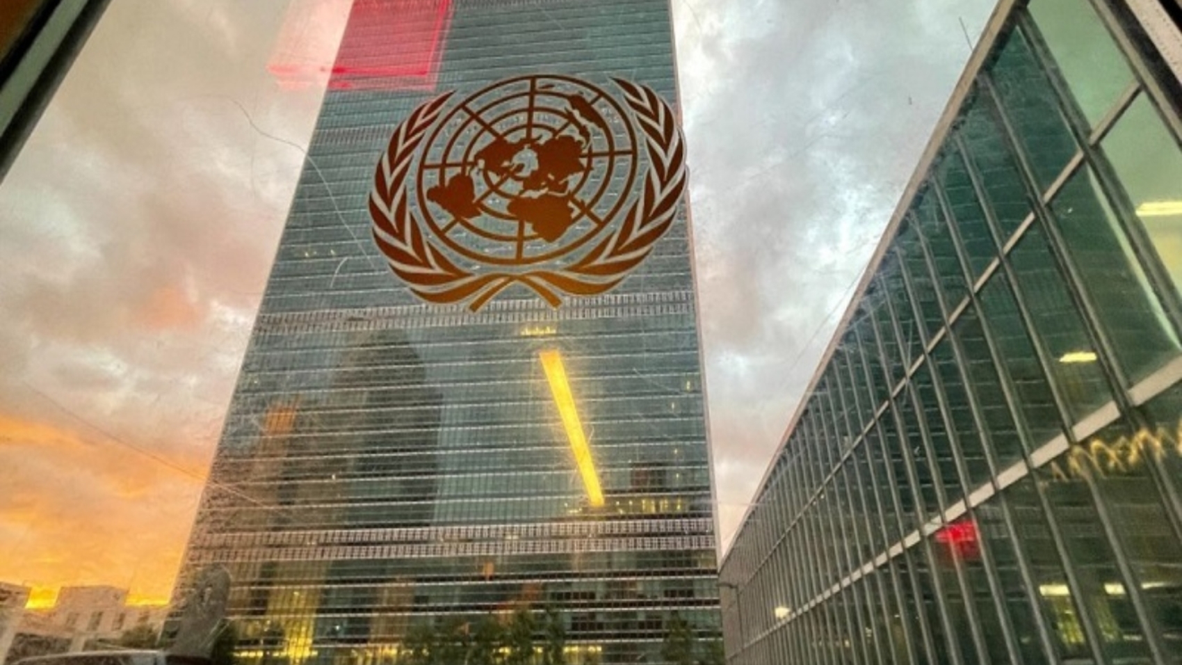 onu (2)